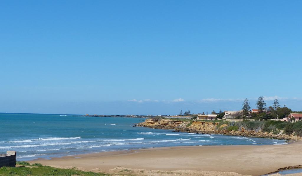 Siciliacasevacanze - Ulivi